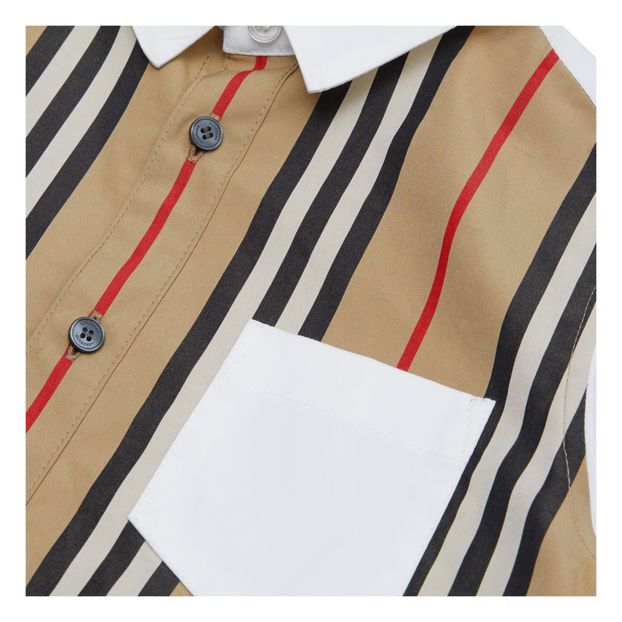 Chemise Ledger-product