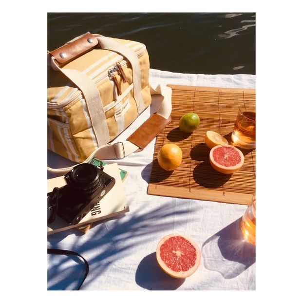 Glacière Premium-product