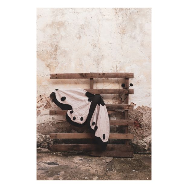 Lucy the Butterfly Costume-product