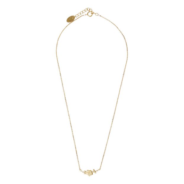Collar Fagonie-product