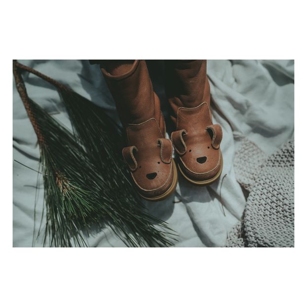 Bottes Fourrées Chien Wadudu-product