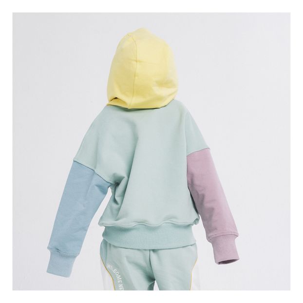 Colourblock Hoodie-product