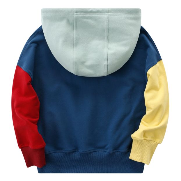 Colourblock Hoodie-product