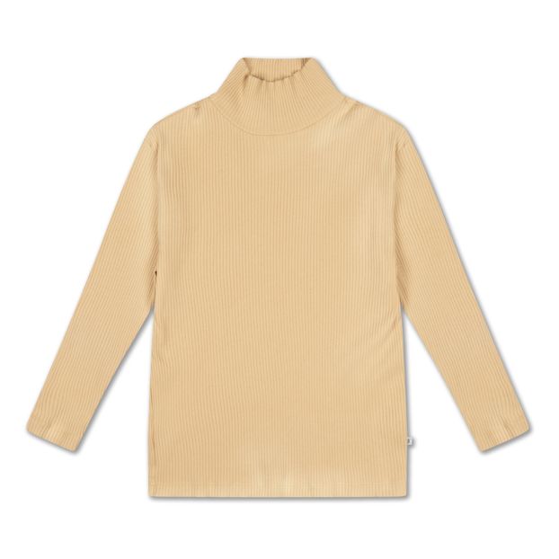 Sous-pull Turtle Neck-product