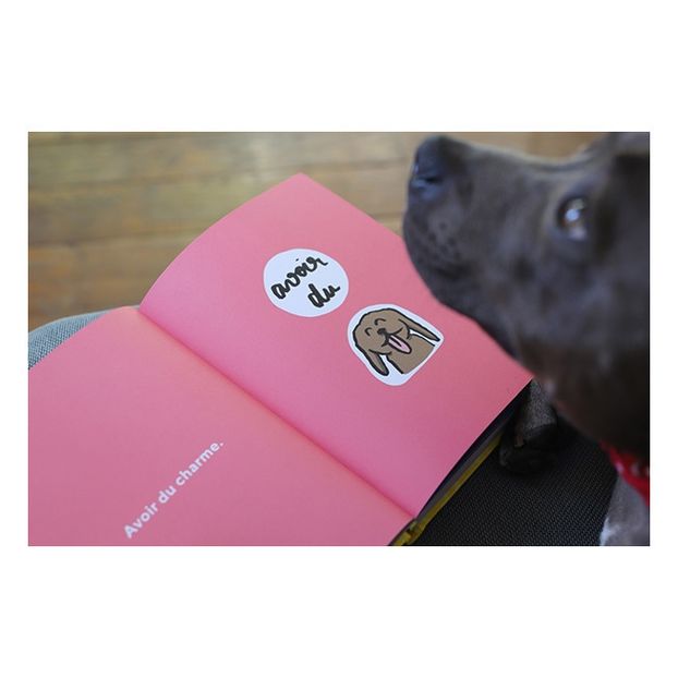 Les Chiens Ne Font Pas D'Omelette Sans Casser Trois Pattes a Un Canard Album - Melody Leblond-product