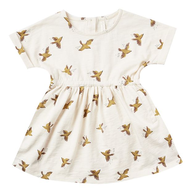 Robe Songbirds-product