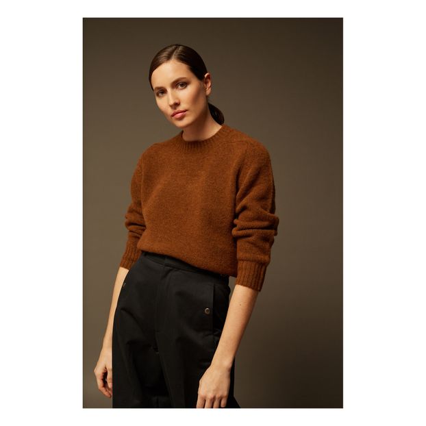 Jersey Envie de Alpaca-product