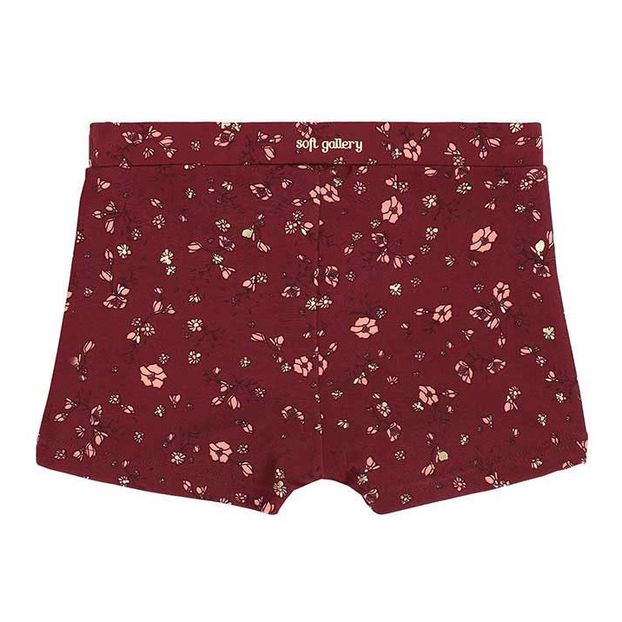 Short de Bain Pamel-product