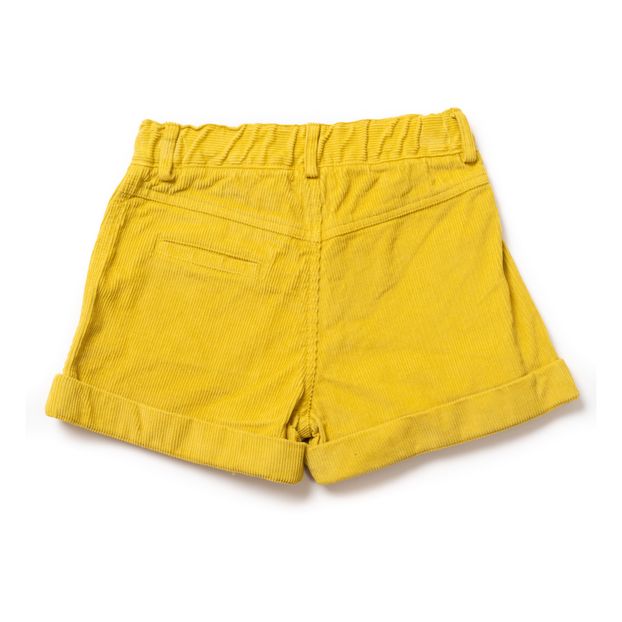 Sirocco Velvet Shorts-product