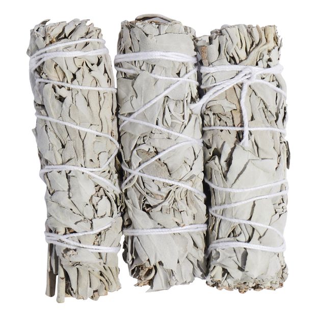 Salvia Blanca-product