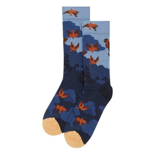 Chaussettes Phoenix-product