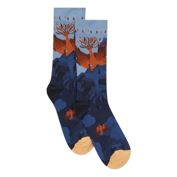 Chaussettes Phoenix-product