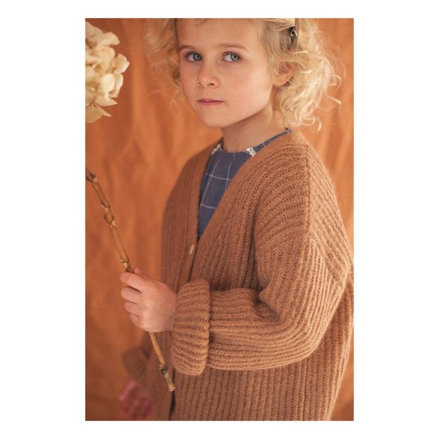 Cardigan Laine et Mohair Constance-product