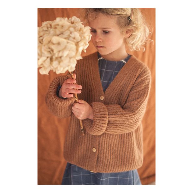Cardigan Laine et Mohair Constance-product