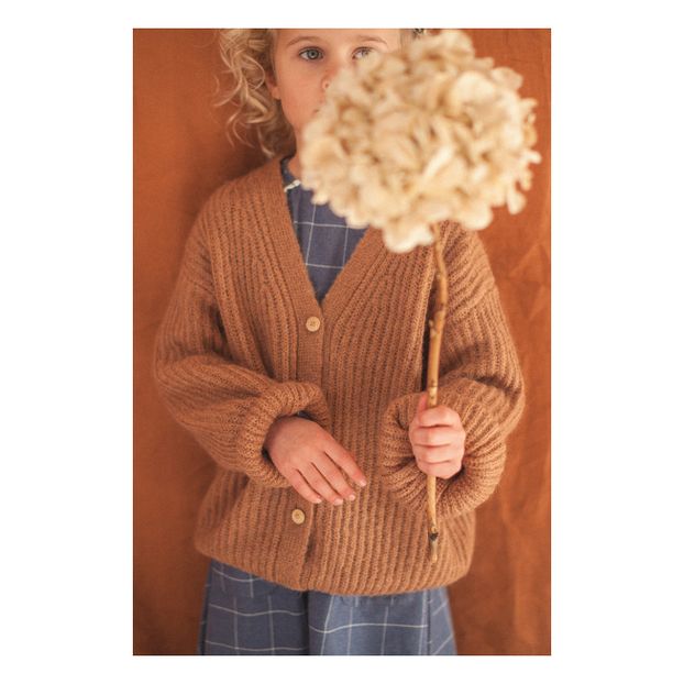 Cardigan Laine et Mohair Constance-product
