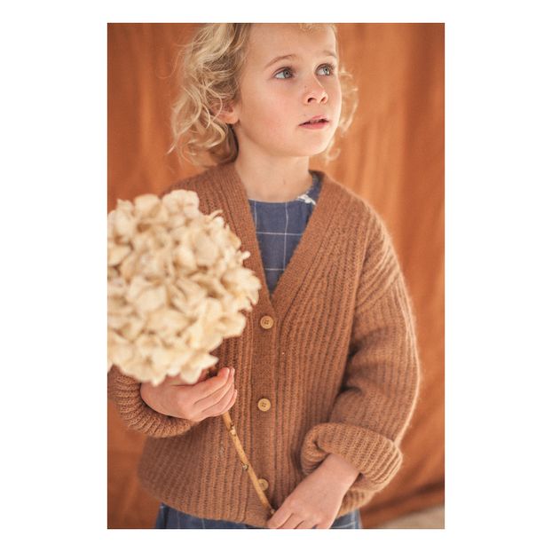 Cardigan Laine et Mohair Constance-product