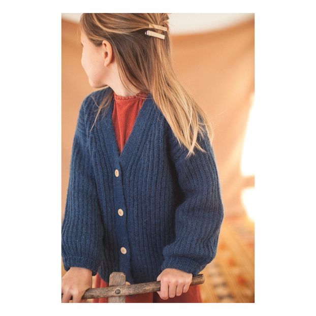 Cardigan Laine et Mohair Constance-product