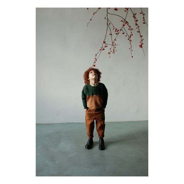 Sweat Zippé Pine Forest Coton Bio-product