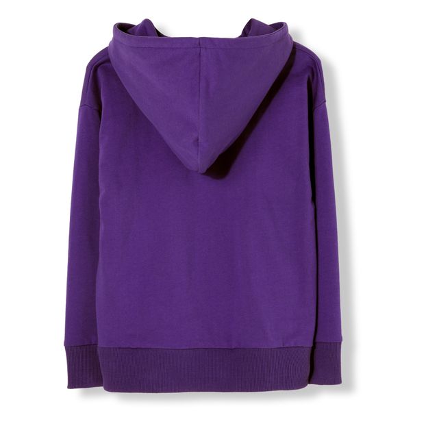 Hoodie Barney-product