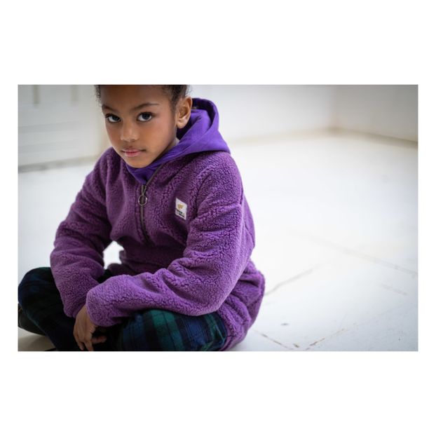Hoodie Barney-product