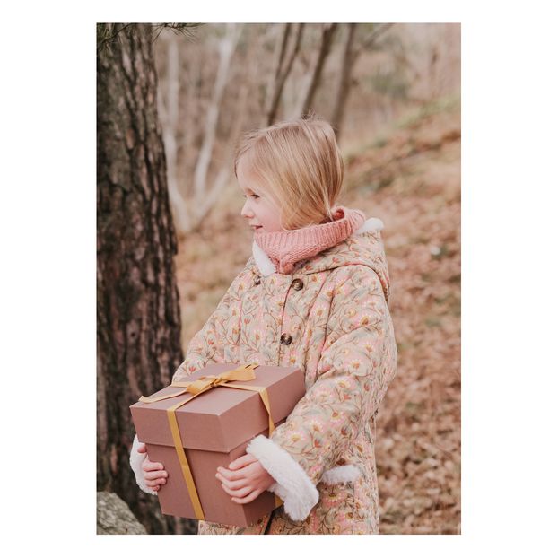 Snood Laine et Alpaga Eloa-product