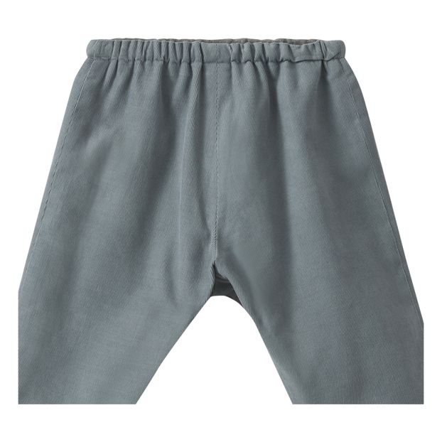 Sarouel Velours Dandy-product