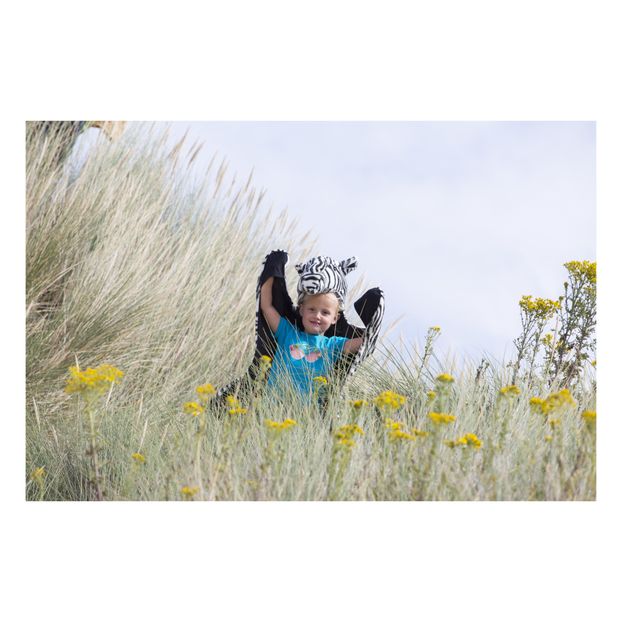 Zebra animal skin costume-product