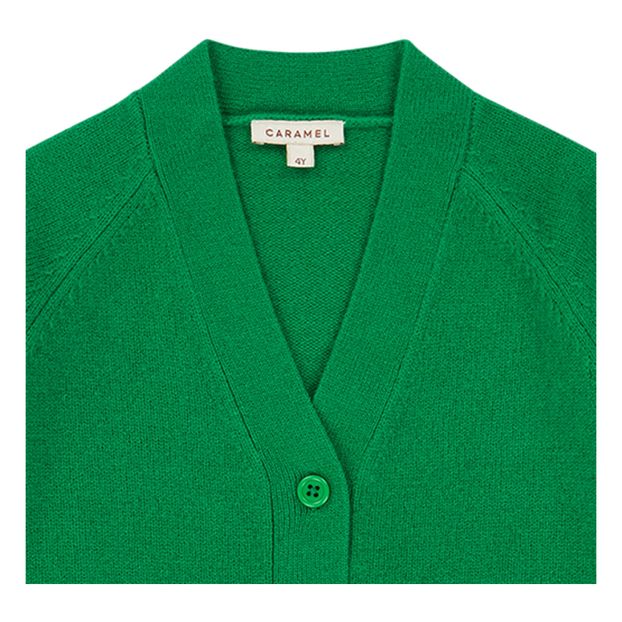 Cardigan Merinos Sandpiper-product