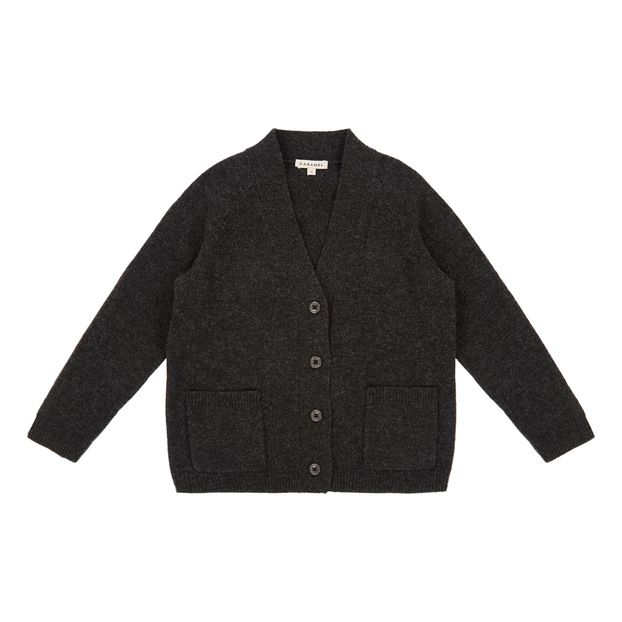 Cardigan Merinos Sandpiper-product