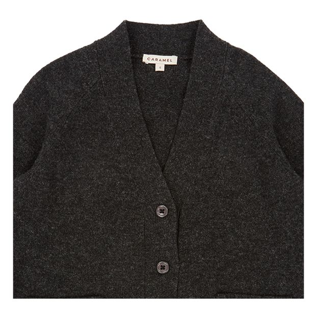 Cardigan Merinos Sandpiper-product