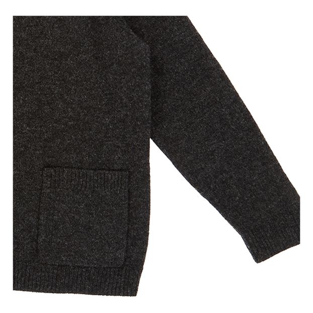 Cardigan Merinos Sandpiper-product