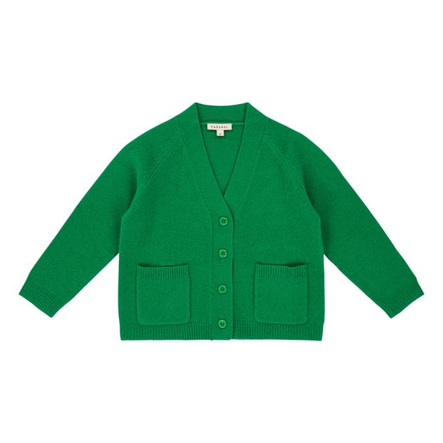 Cardigan Merinos Sandpiper-product