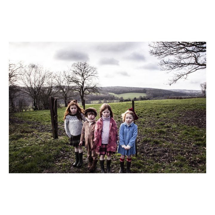 Pull Alpaga Mink | Gris- Image produit n°2