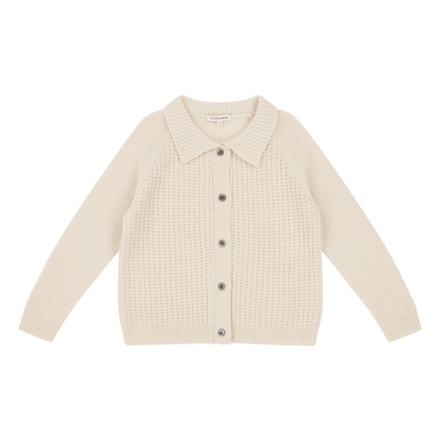 Cardigan Mérinos Woodpecker-product