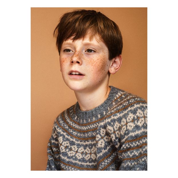 Pull Laine Mérinos Alpaga Paul Jumper-product