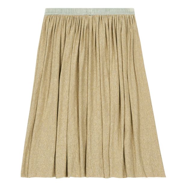 Jupe Longue Pailletée-product
