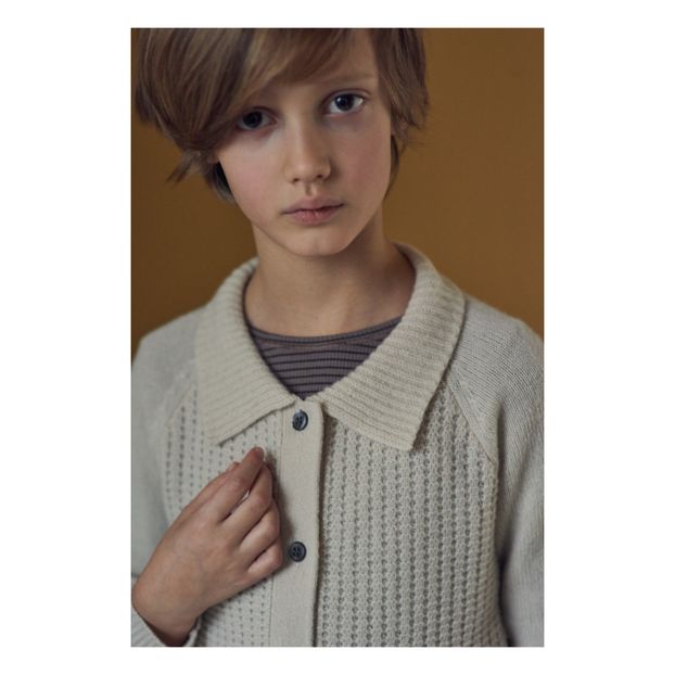 Cardigan Mérinos Woodpecker-product