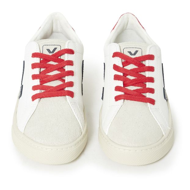 Zapatillas Lacys Cuero Esplar-product