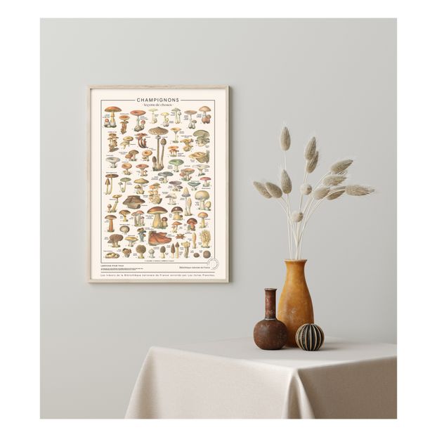 Mushroom Art Print 50x70cm-product