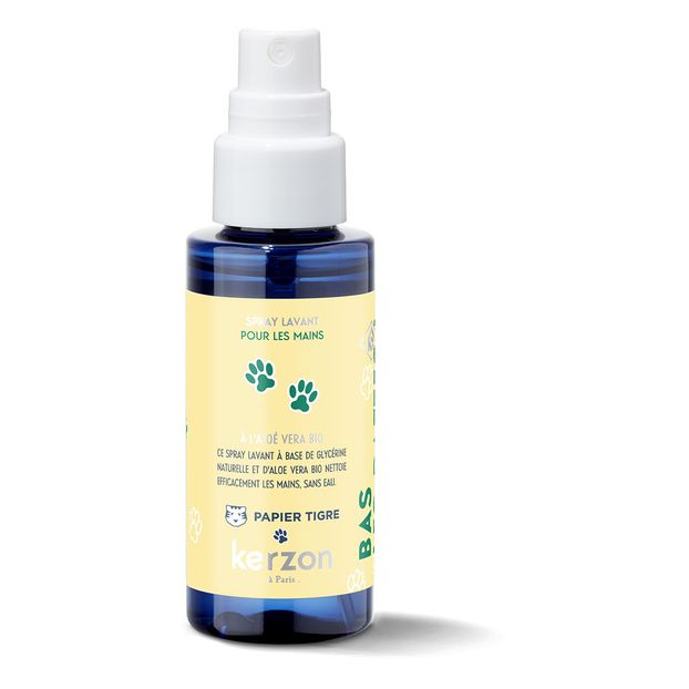 Reinigungsspray - 50 ml-product