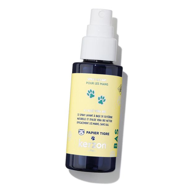 Reinigungsspray - 50 ml-product