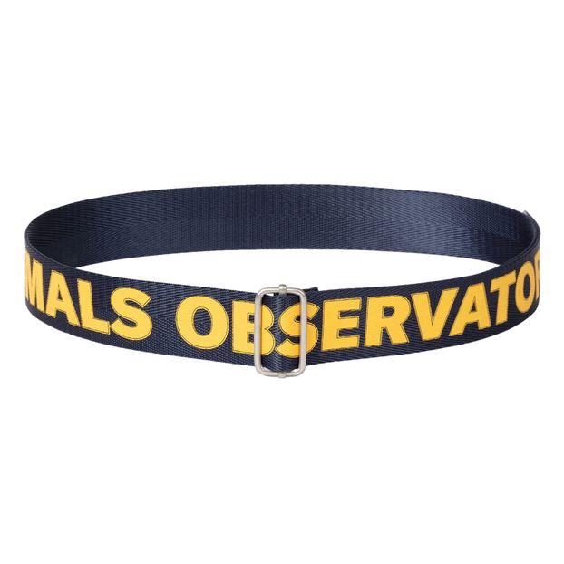Belt-product