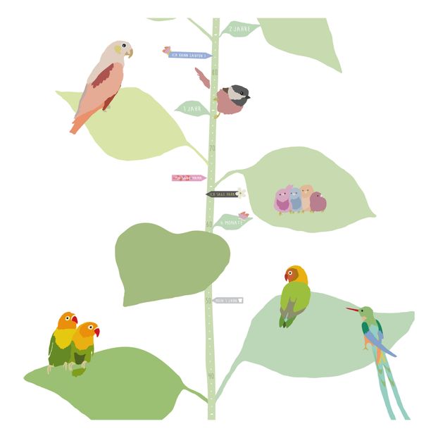 Toise With The Birds -DE-product