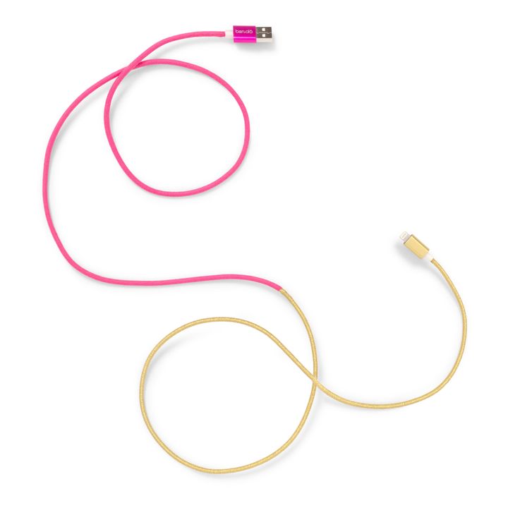 Cargador iPhone y iPad- Imagen del producto n°1