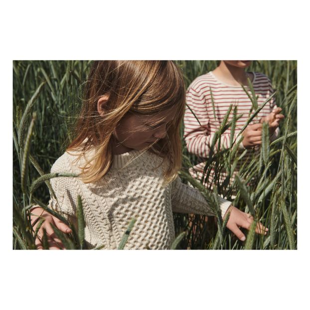Pull Extra Fin Rayé Coton Bio-product
