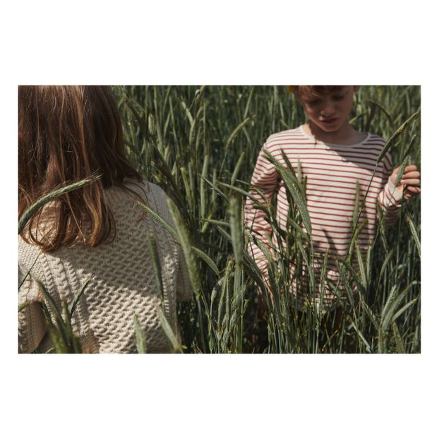 Pull Extra Fin Rayé Coton Bio-product