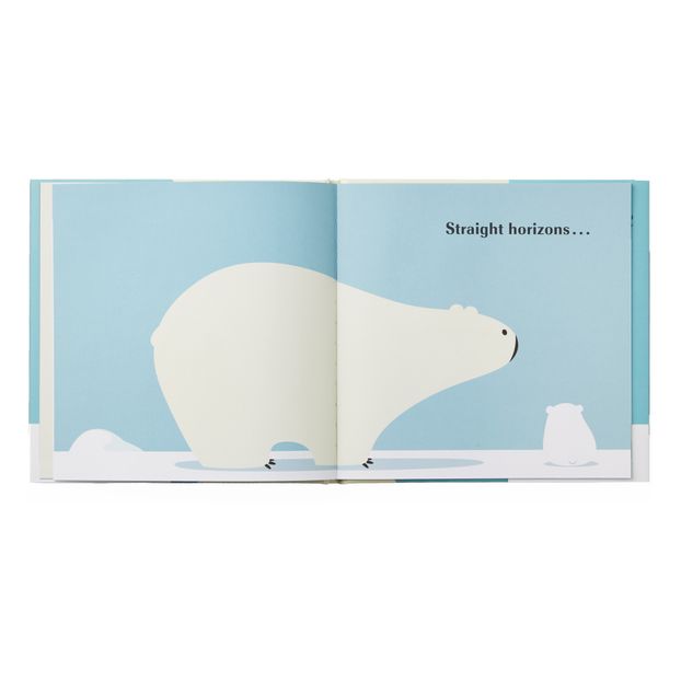 Livre Little bear dreams - Paul Schmid-product