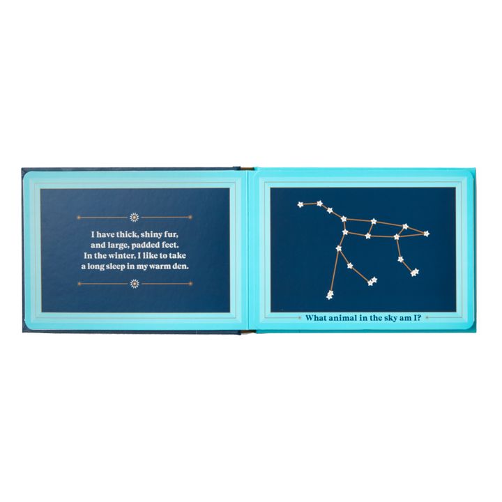 Libro Animals In The Sky - Sara Gillingham- Imagen del producto n°1