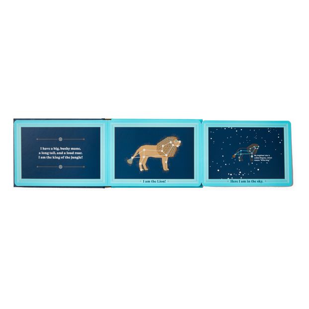 Livre Animals In The Sky - Sara Gillingham-product
