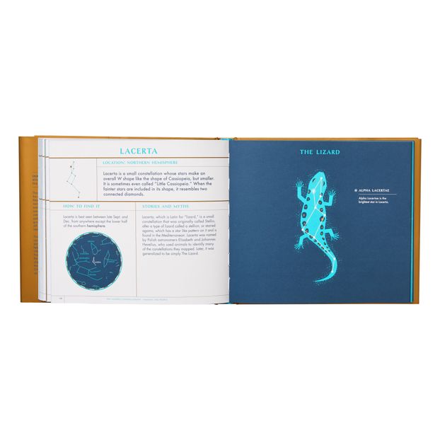 Livre Seeing Stars - Sara Gillingham-product